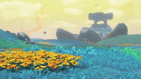 Hilltop Layer